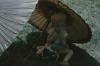 BD/171/1280 Kind onder parasol