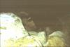 BD/171/1477 Vage foto, hond.
