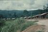 BD/171/1485 Tiental stenen woningen.
