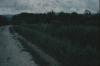 BD/171/1540 Weg door natuur. Vage foto.
