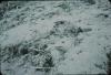 BD/171/1587 Overstroomde grond????? 