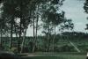 BD/171/1642 Pad door de natuur