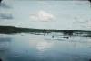 BD/171/1648 Man in water