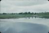 BD/171/1679 Natuur