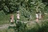BD/171/809 Mensen lopen over pad