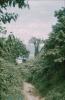BD/171/832 Natuur