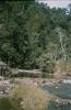 BD/171/919 Rustig stromend riviertje.