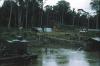 BD/171/959 Activiteiten aan oever rivier, o.m. hutje t.b.v. arbeiders.