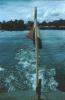 BD/171/994 Foto vanaf schip op meer van kust.
