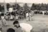BD/269/1253 Ceremonie, gelegenheid en locatie onbekend