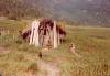 BD/269/991 Alleenstaande hut met gezin