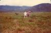 BD/269/993 Jan blom en galopperend paard